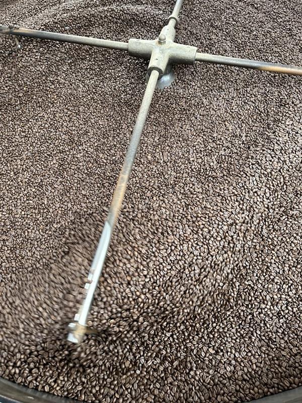 Kaffeebohnen Daniel Moser